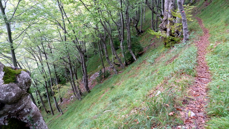 P1060341.JPG
