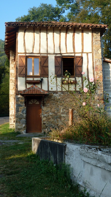 P1060375.JPG