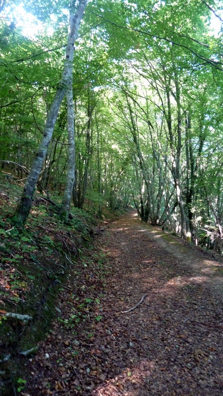 P1060388.JPG