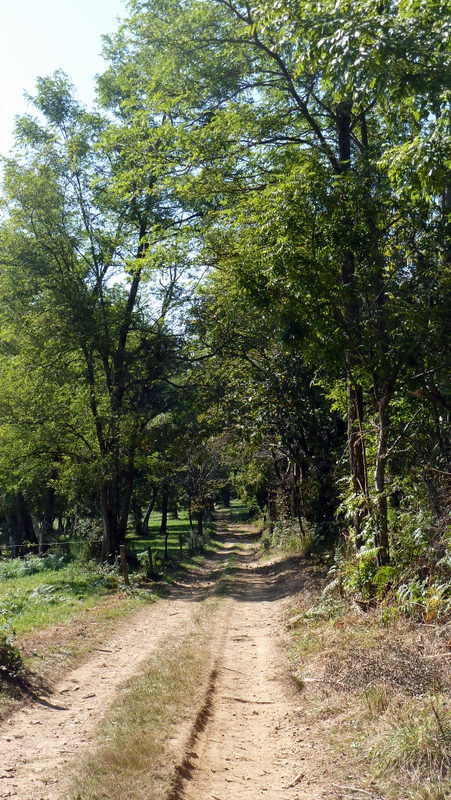 P1060443.JPG