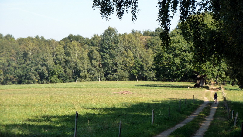 P1060445.JPG