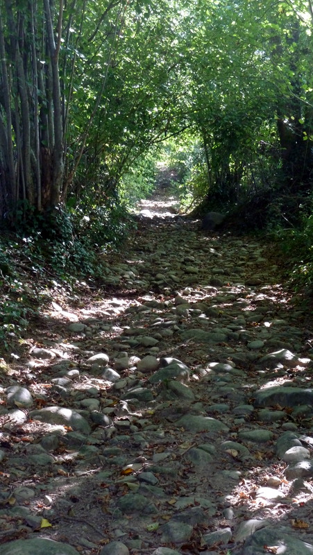 P1060447.JPG