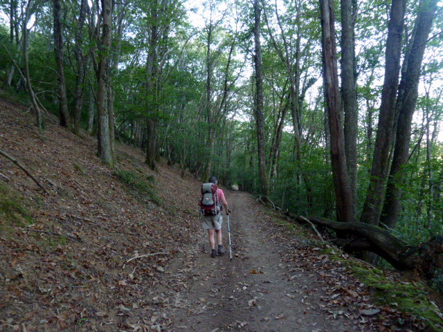 P1060482.JPG