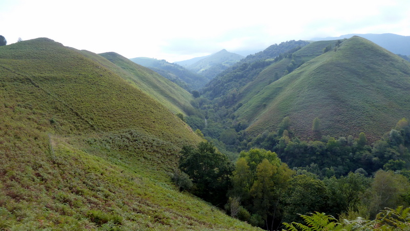 P1060550.JPG