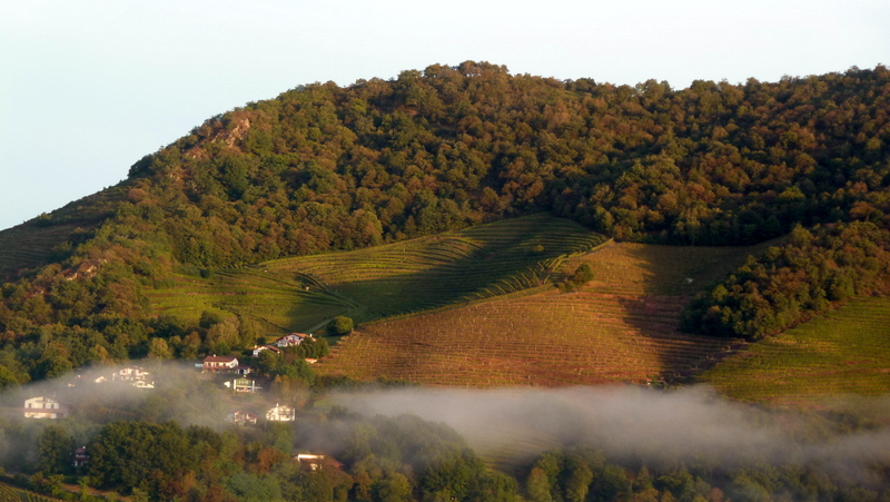 Saint-Jean-Pied-de-Port          P1060792.JPG