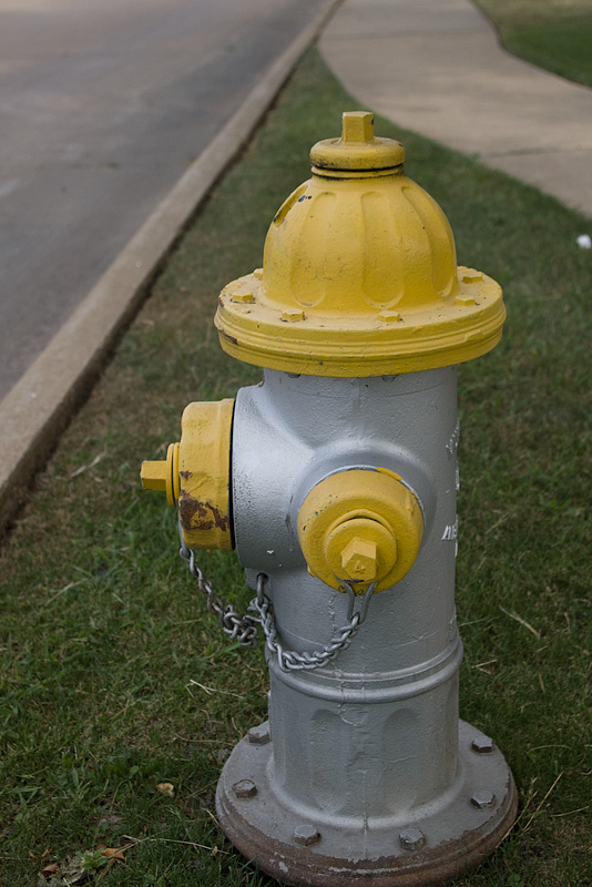 median yellow