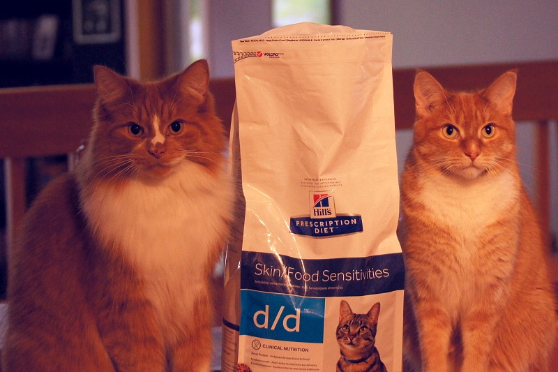 Milly et Ginger