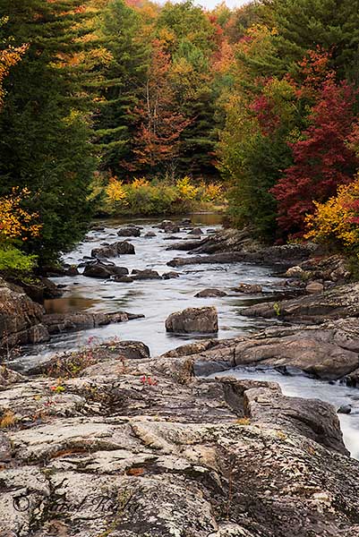 Looking Down the Black River