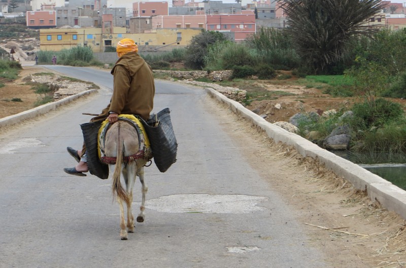 Oued Massa