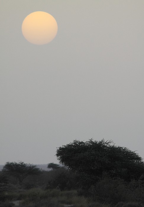 Sunrise at Aousserd