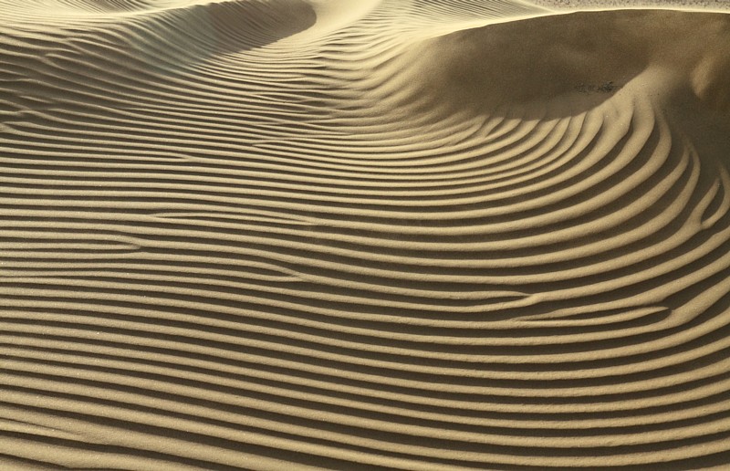Sahara