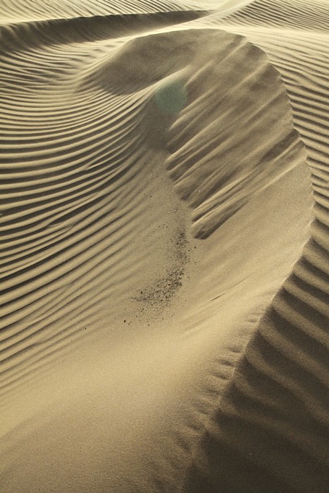 Sahara