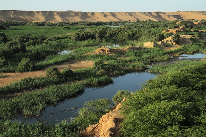 Sahara