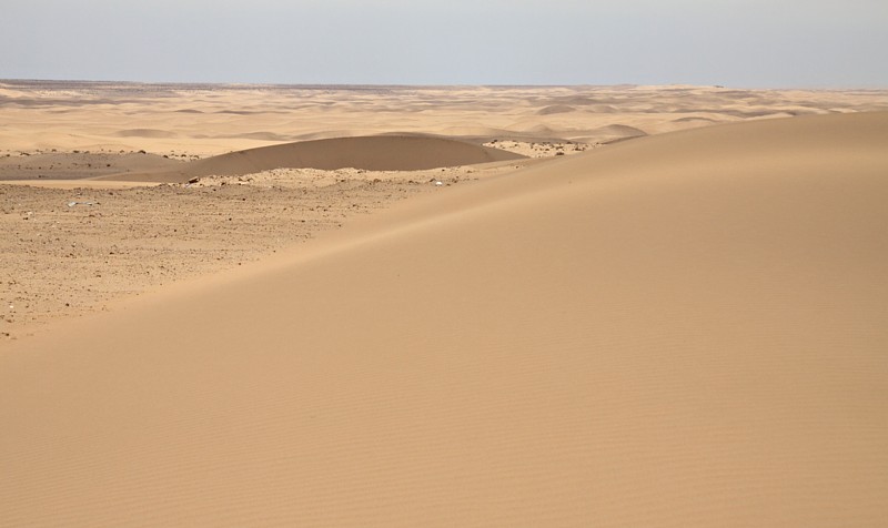 Sahara