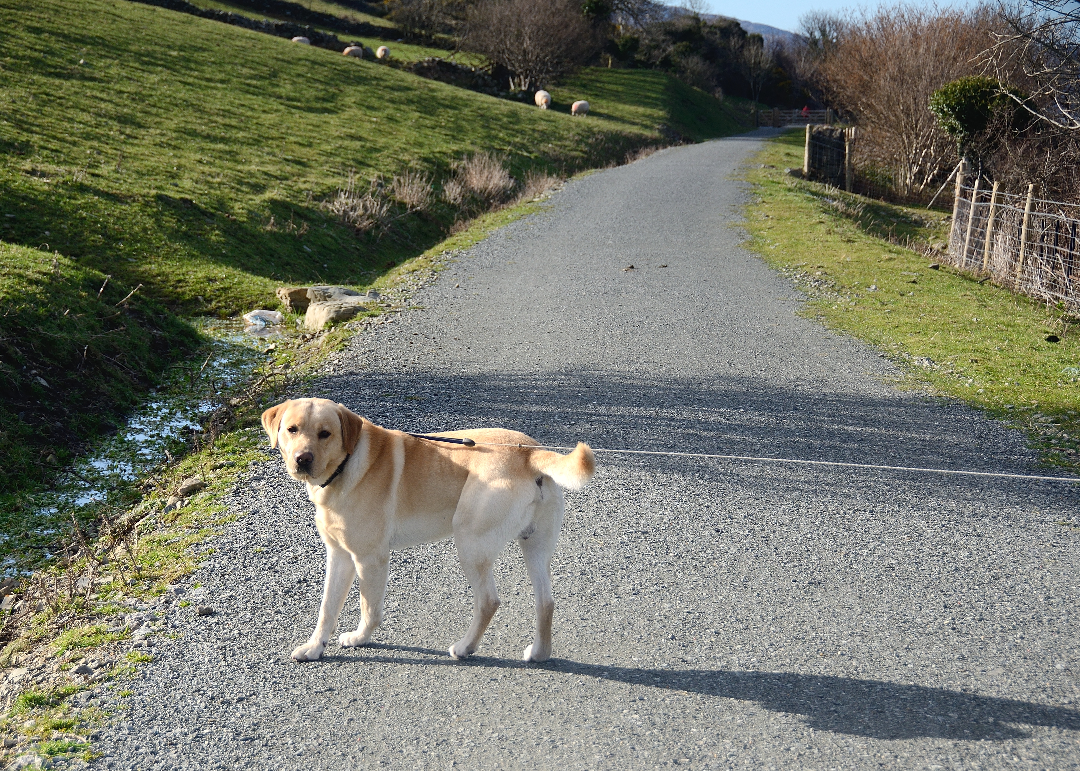 On the Greenway