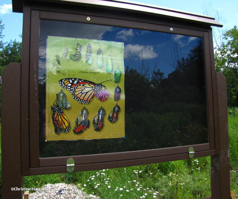 New kiosk in Butterfly Meadow