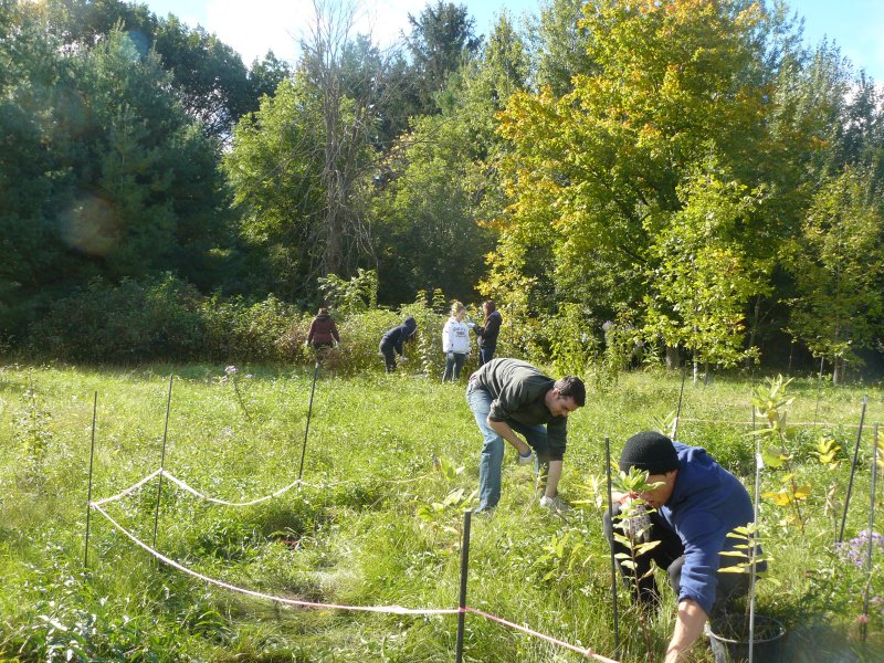 Preparing to plant