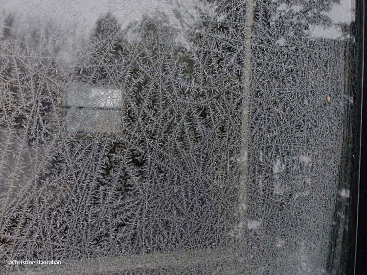 Frost on the window