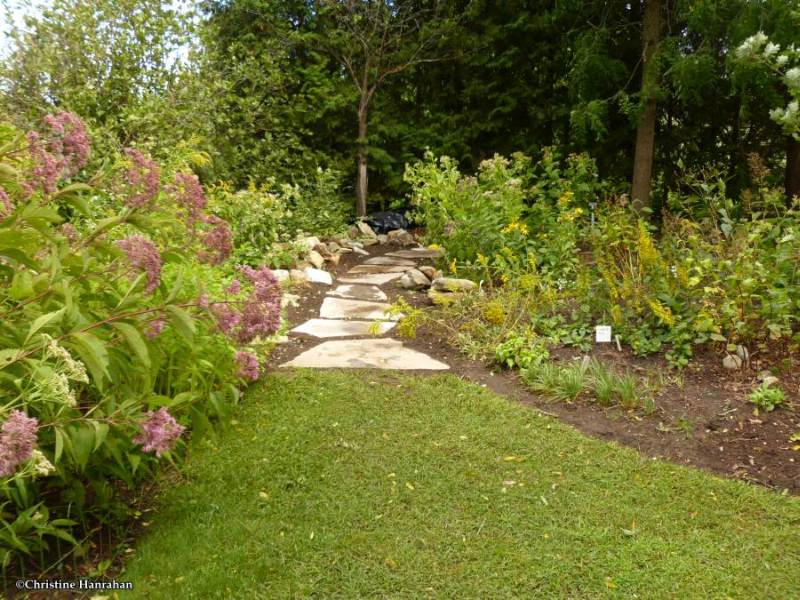 New path in the Backyard Garden