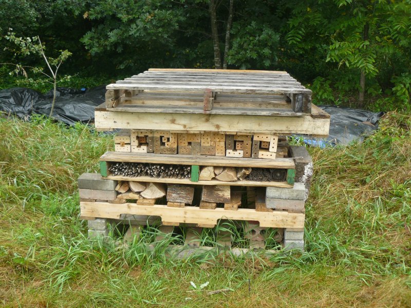 Insect hotel - 27 August 2013