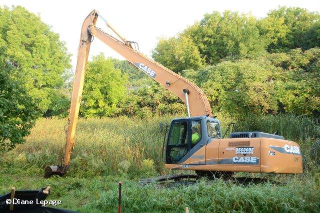 Work starts on the pond rehabilitation