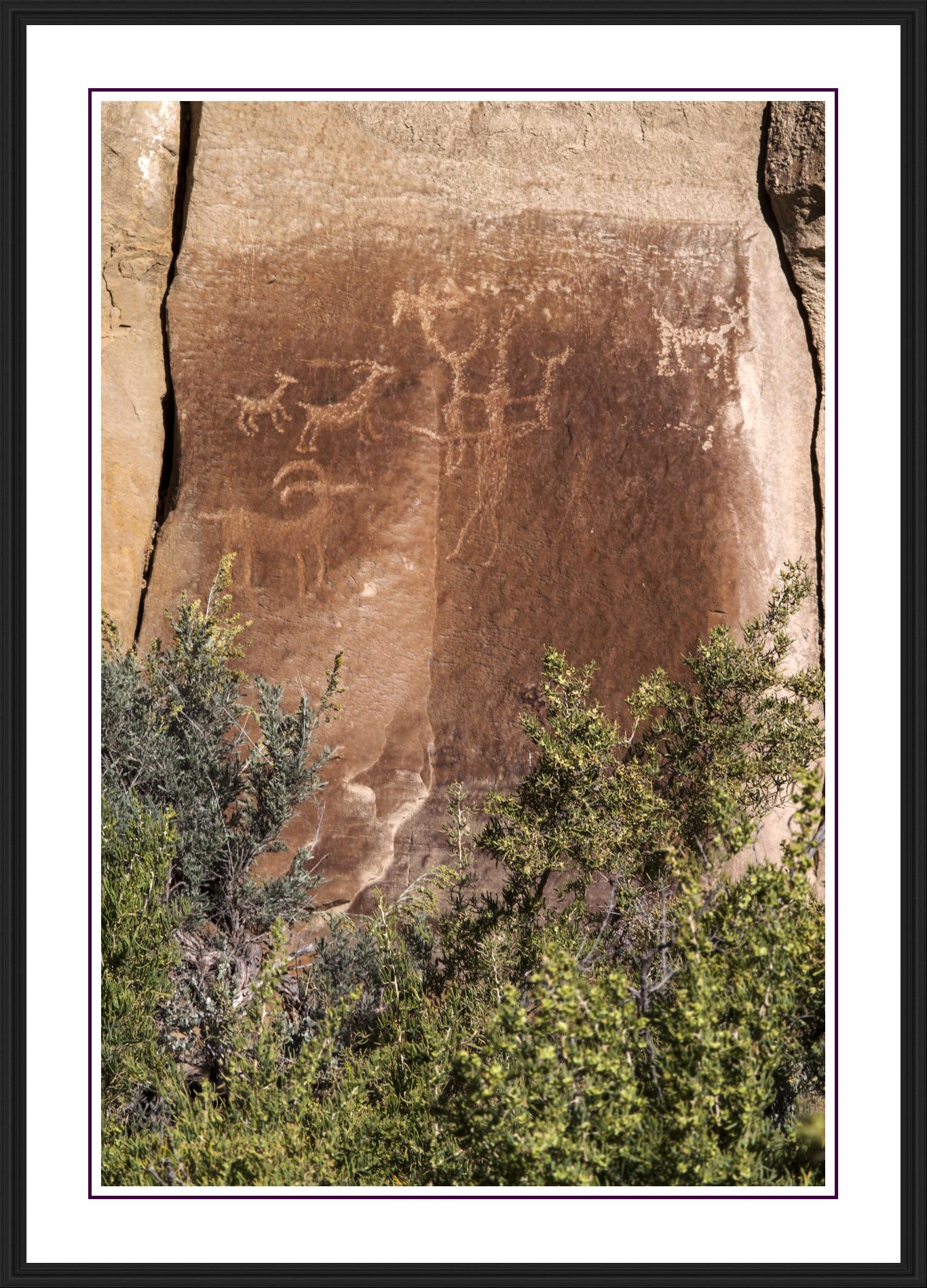 Nine Mile Canyon Panel