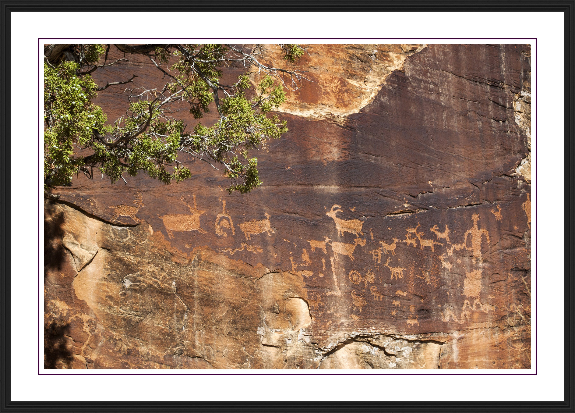 Shay Canyon
