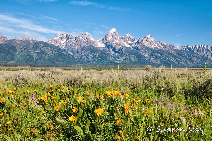 Wyoming Tetons