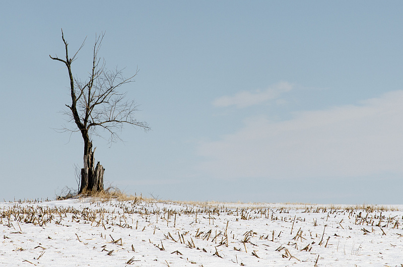 February on the farm
