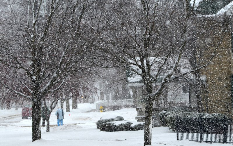 Snowy Street by Kaile Goodman