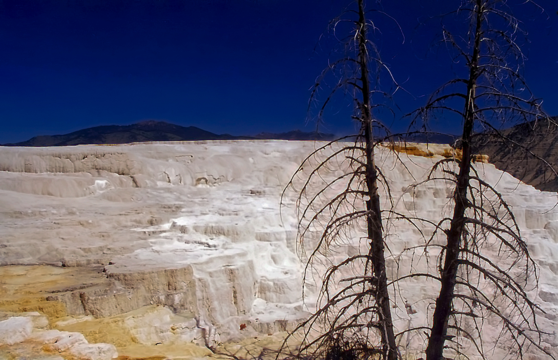 Mineral Deposits-Yellowstone
