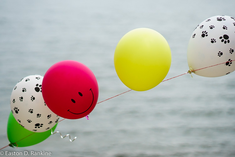 Happy being Red