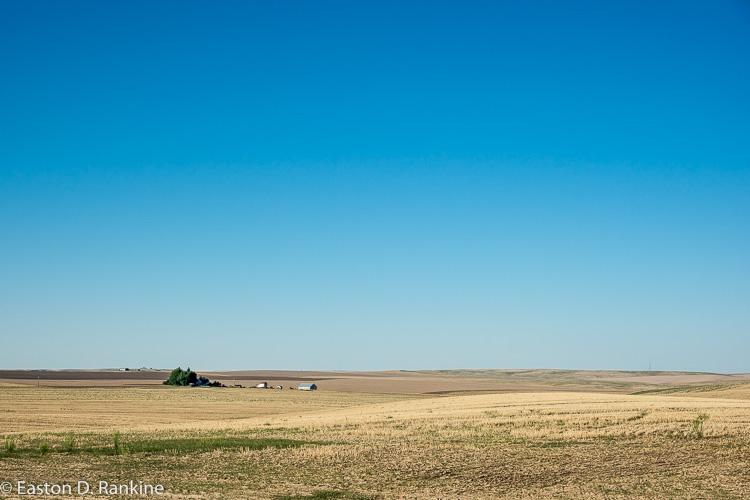 _DSC2385.jpg