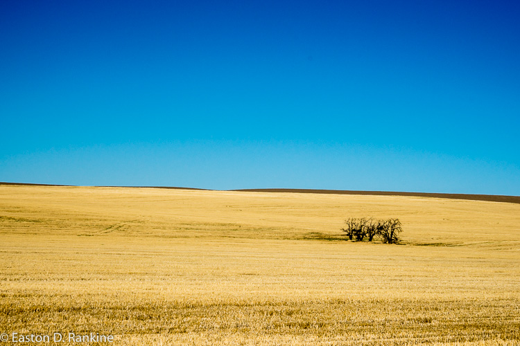 _DSC2430.jpg