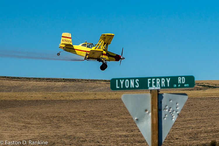 Spraying - Lyons Ferry Road