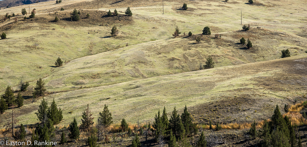 _DSC2643.jpg