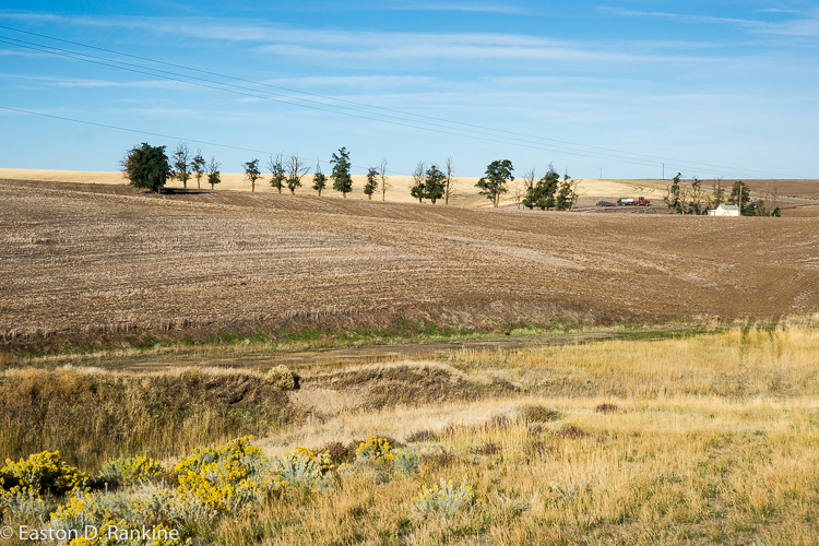 _DSC7328.jpg