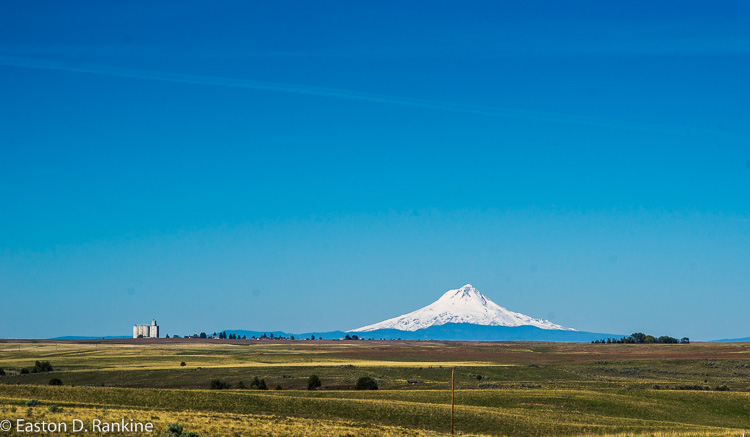 _DSC7334.jpg
