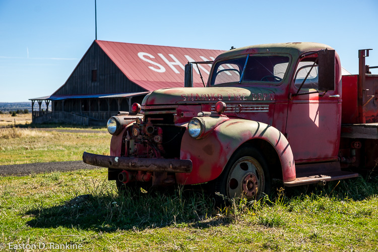 _DSC7364.jpg