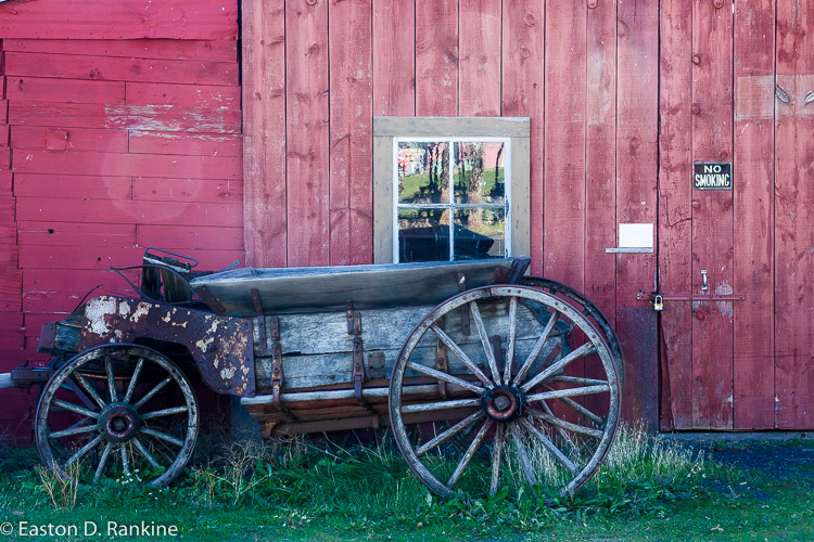 _DSC7381.jpg