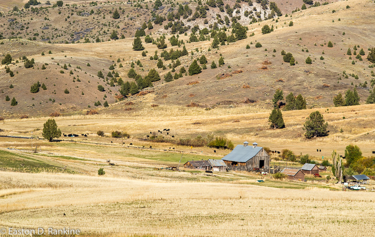 _DSC7423.jpg