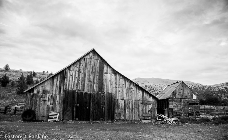 _DSC7441.jpg