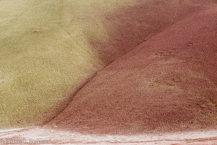 _DSC7520.jpg