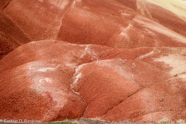 _DSC7525.jpg