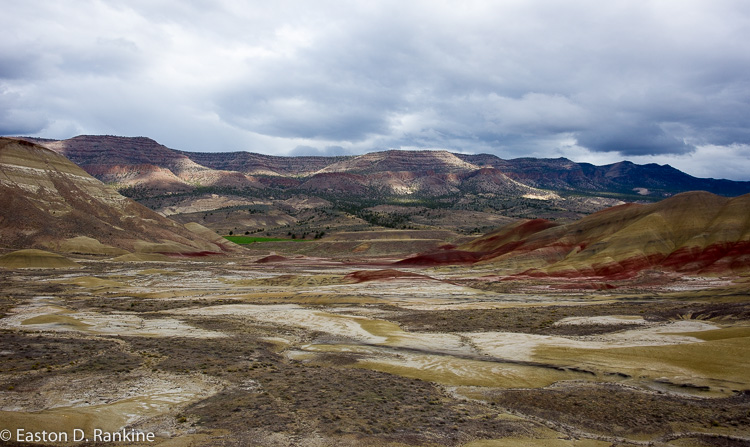 _DSC7543.jpg