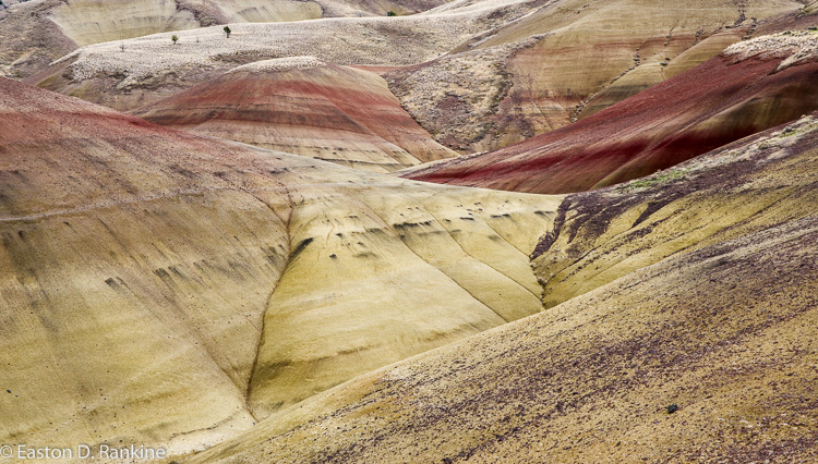 _DSC7544.jpg