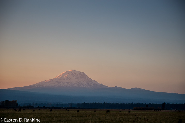 _DSC7667.jpg