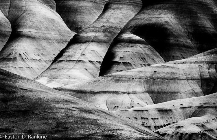 Folds