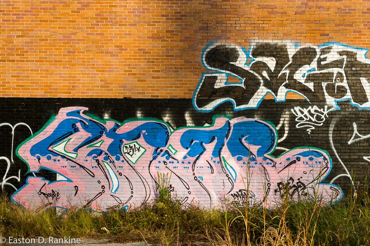 _DSC3358.jpg