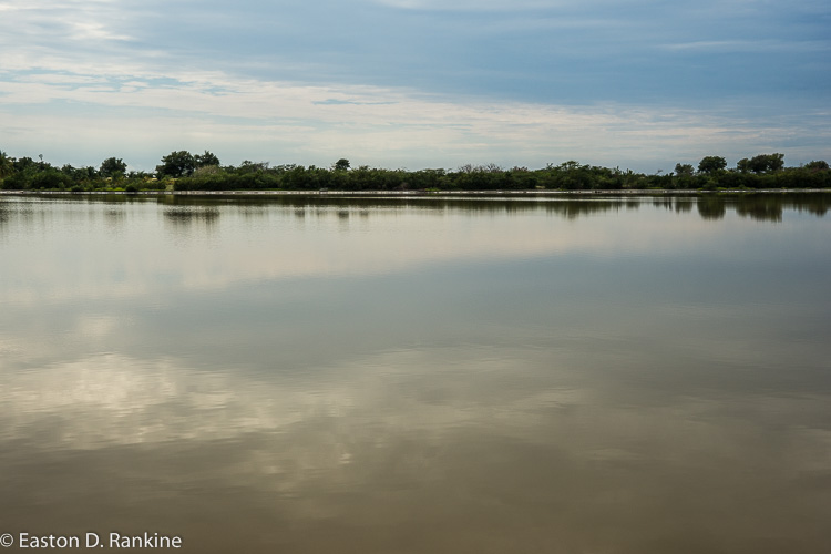 Yallahs Pond